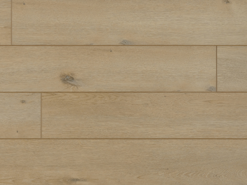 Authentics 1.8+ Champlain 50-LVRE-115