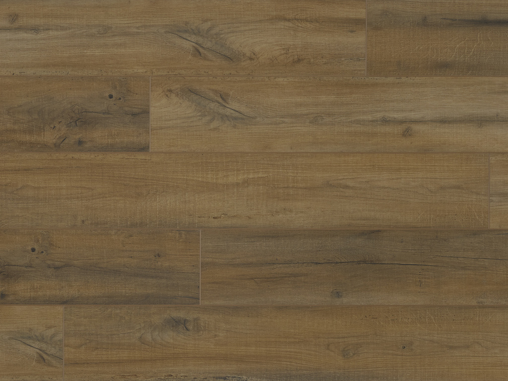 Authentics 1.5+ Manitoba 50-LVRE-123