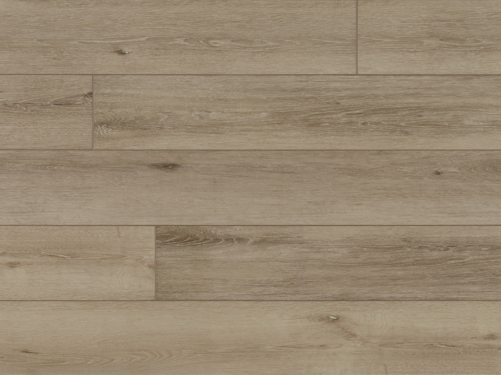 Authentics H+ Nimbus 50-LVRE-140