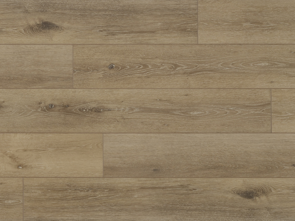 Authentics 1.2+ Regina 50-LVRE-139