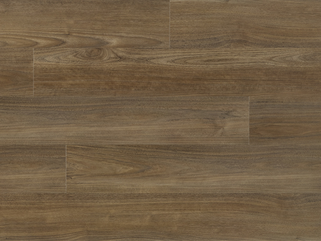 Authentics 1.5 Toronto 50-LVR-127