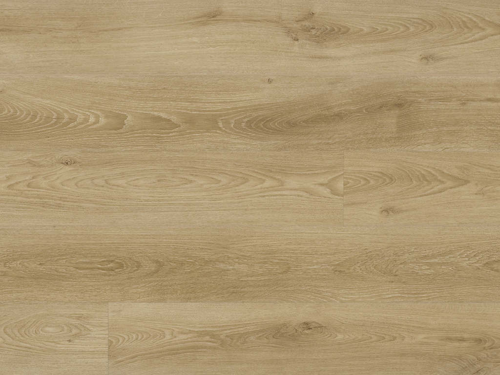 Pro plus Bellagio 50-RLV-1220