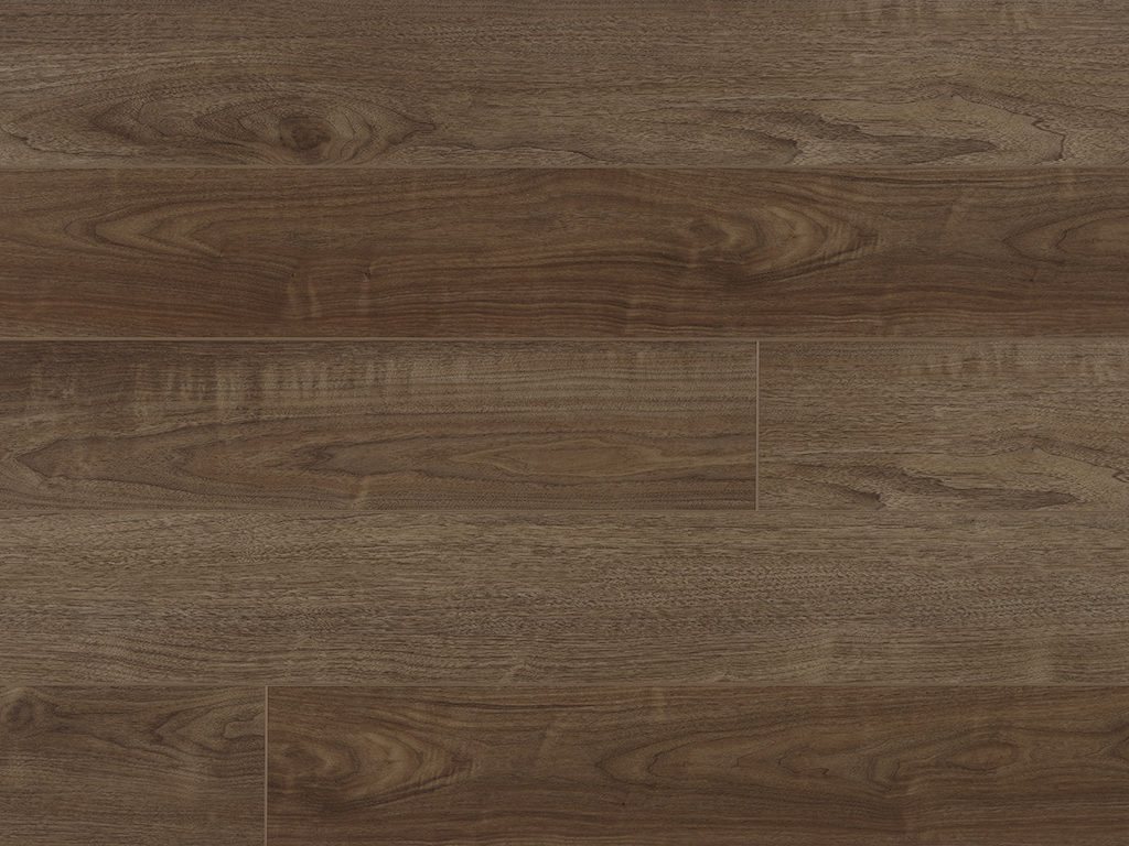 Pro plus Long Kingdom 50-RLV-1228