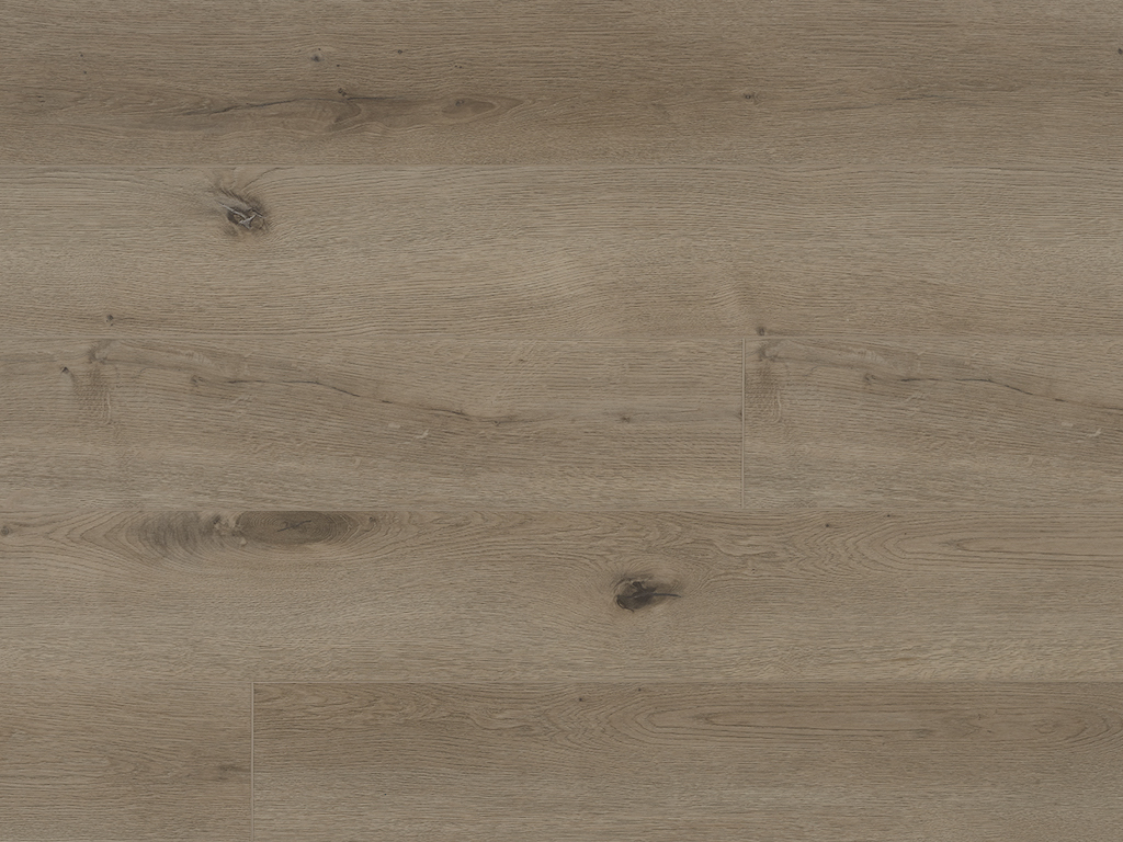 Pro plus Long Parrish 50-RLV-1215