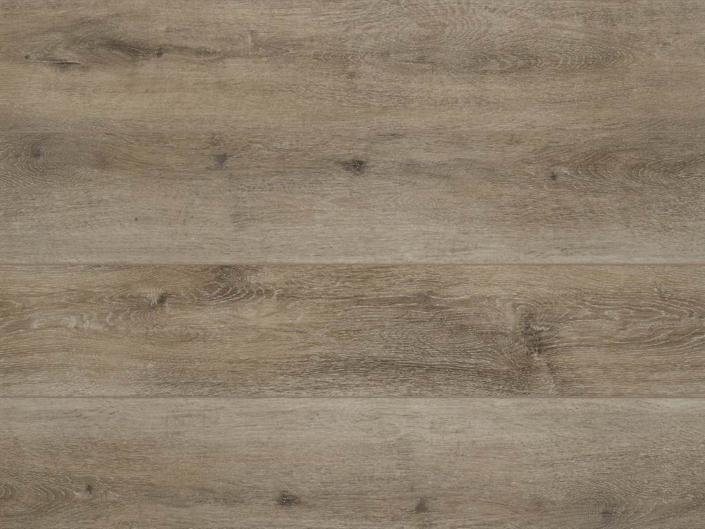 Naturals +Acorn 50-LVPE-854