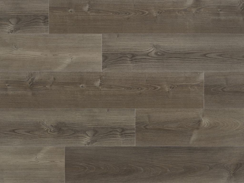 Pro plus Candler 50-RLV-1209