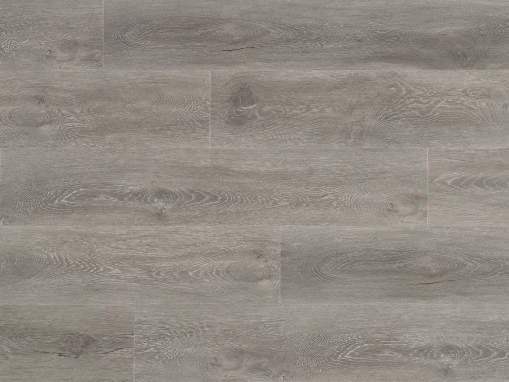 Pro plus Century 50-RLV-1204