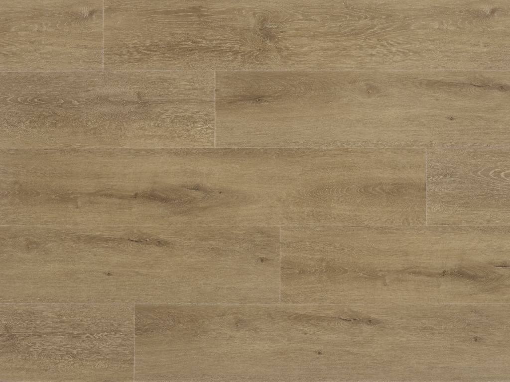 Pro plus Imperial 50-RLV-1207