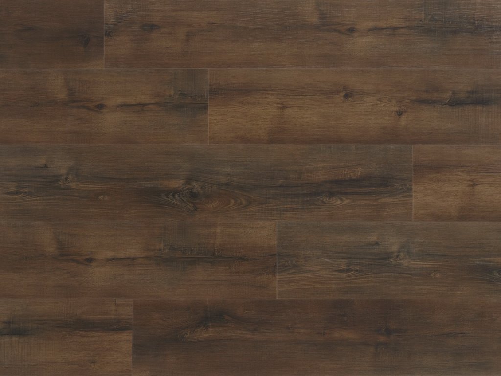 Pro plus Promenade 50-RLV-1208