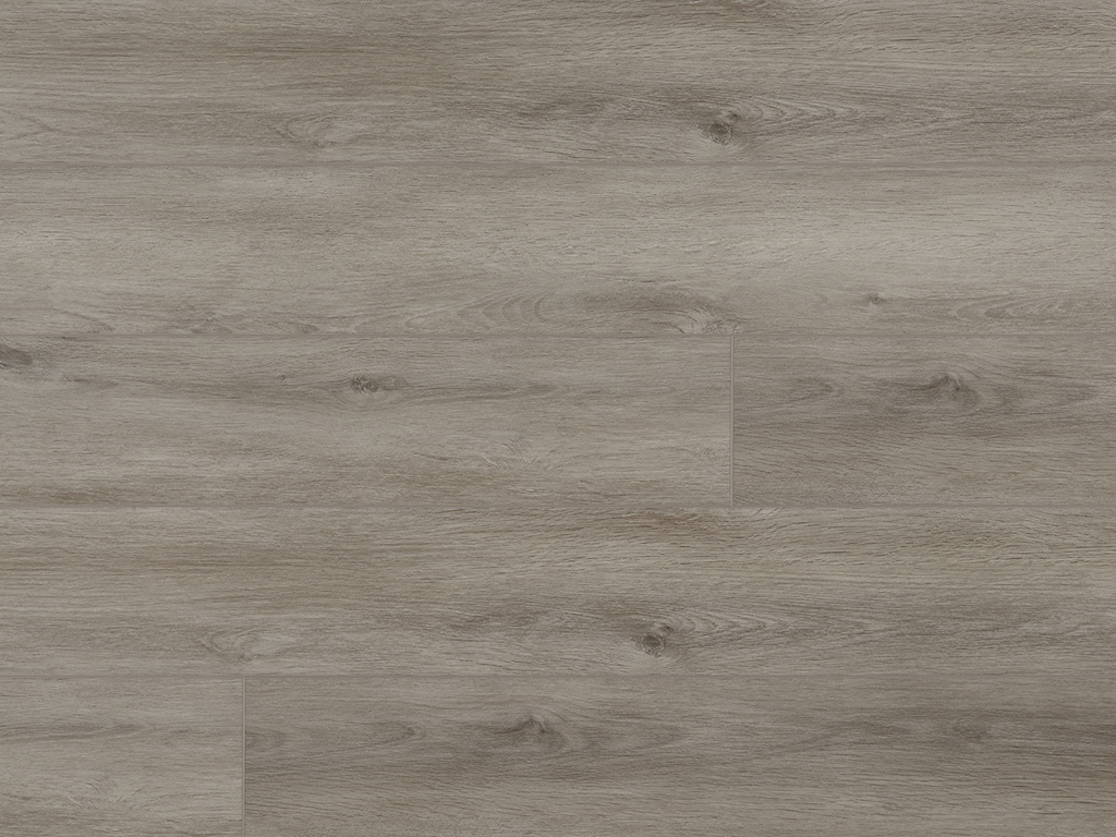 Pro plus Long Absolute 50-RLV-1217