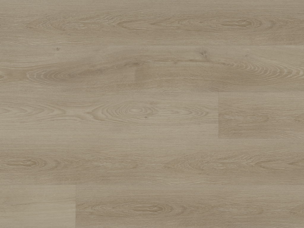 Pro plus Luxor 50-RLV-1219