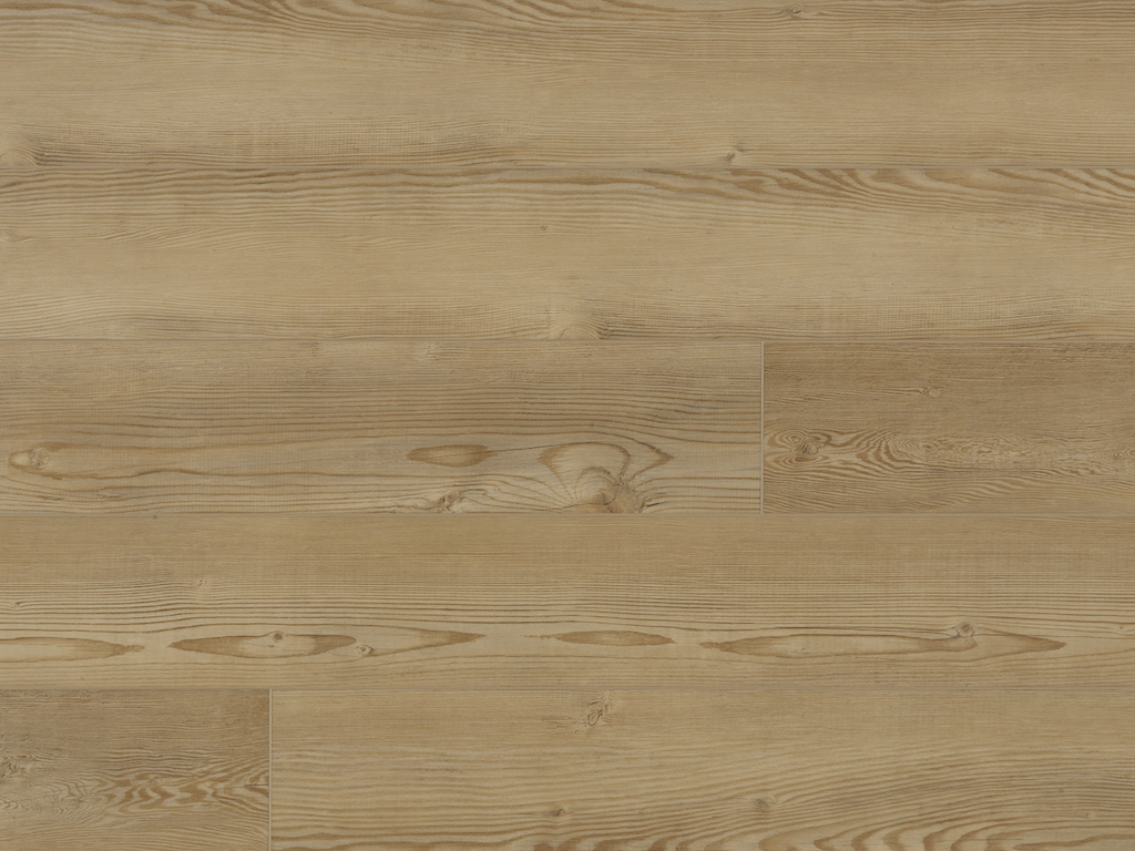 Pro plus Long Petronas 50-RLV-1223