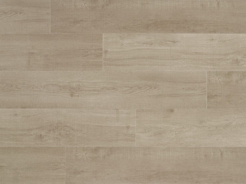 Pro plus Cherkin 50-RLV-1206